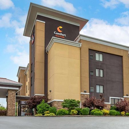 Comfort Suites Кингспорт Экстерьер фото